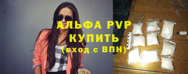 стаф Арсеньев