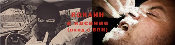 стаф Арсеньев