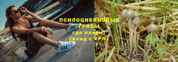 а пвп мука Каменка
