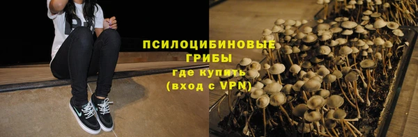 стаф Арсеньев