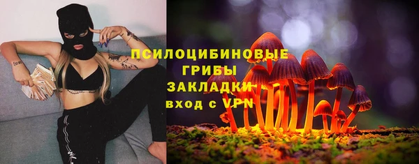 стаф Арсеньев